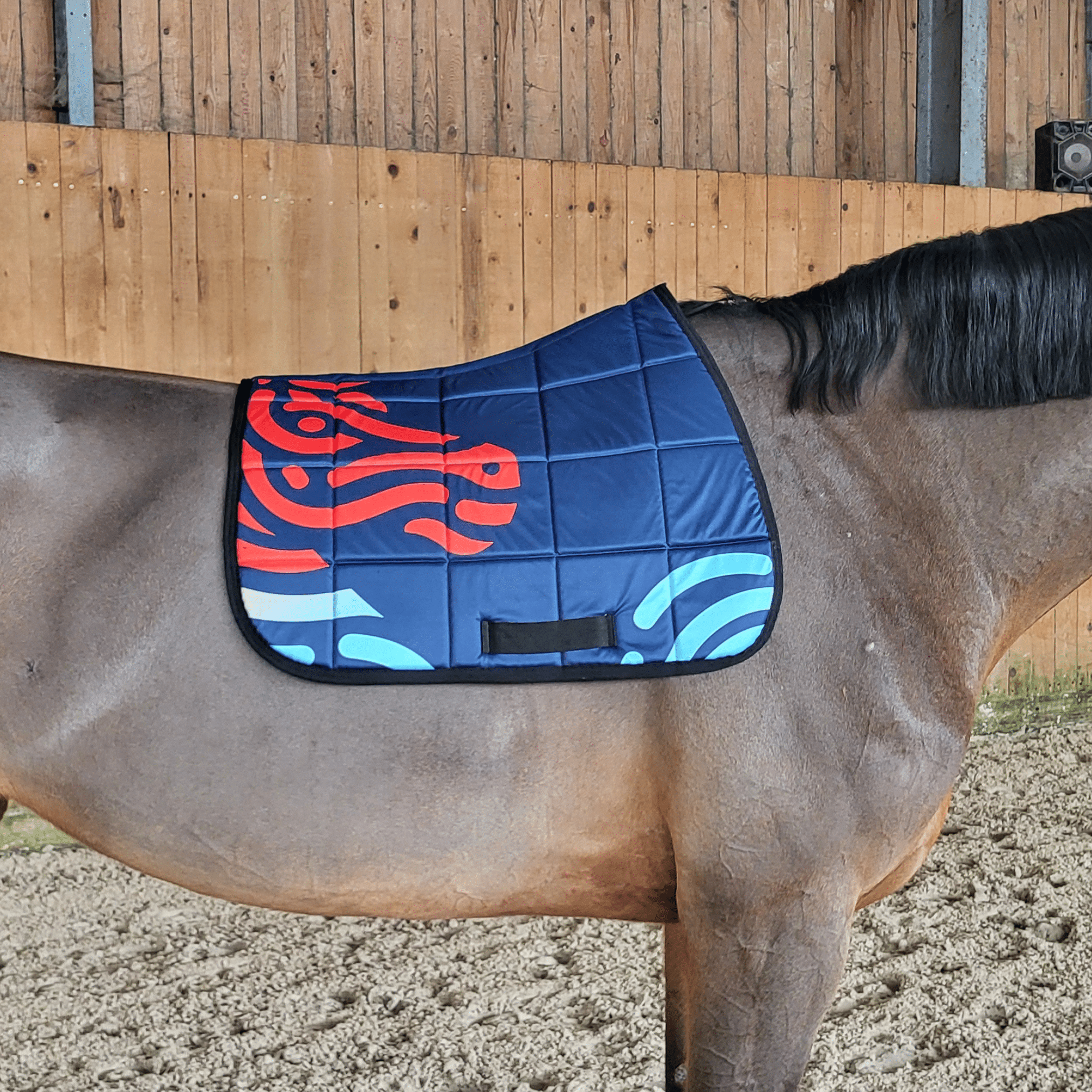 Tapis de selle EliteRide (3)