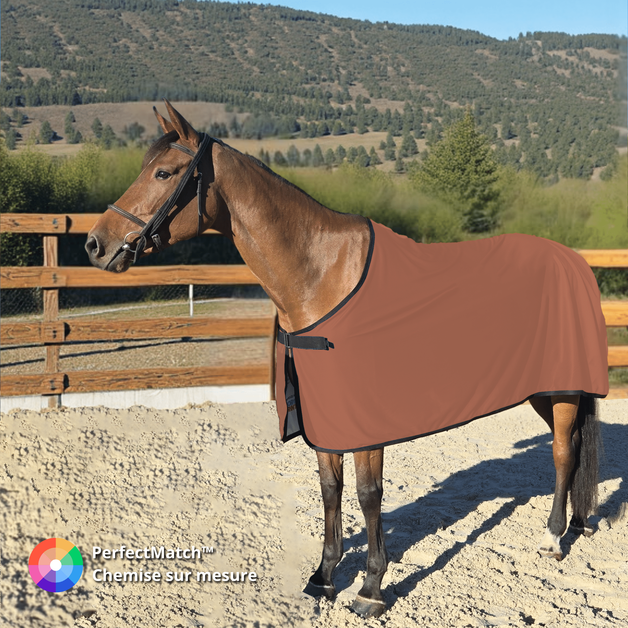Chemise pour cheval Grand Prix Eco Dry