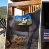 Trois équipements équestres personnalisables de HorsePrint : couverture zèbre, tapis avec design de chien, et porte de box humoristique.