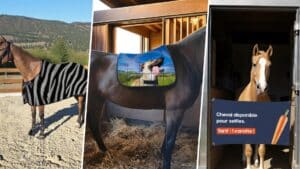 Trois équipements équestres personnalisables de HorsePrint : couverture zèbre, tapis avec design de chien, et porte de box humoristique.