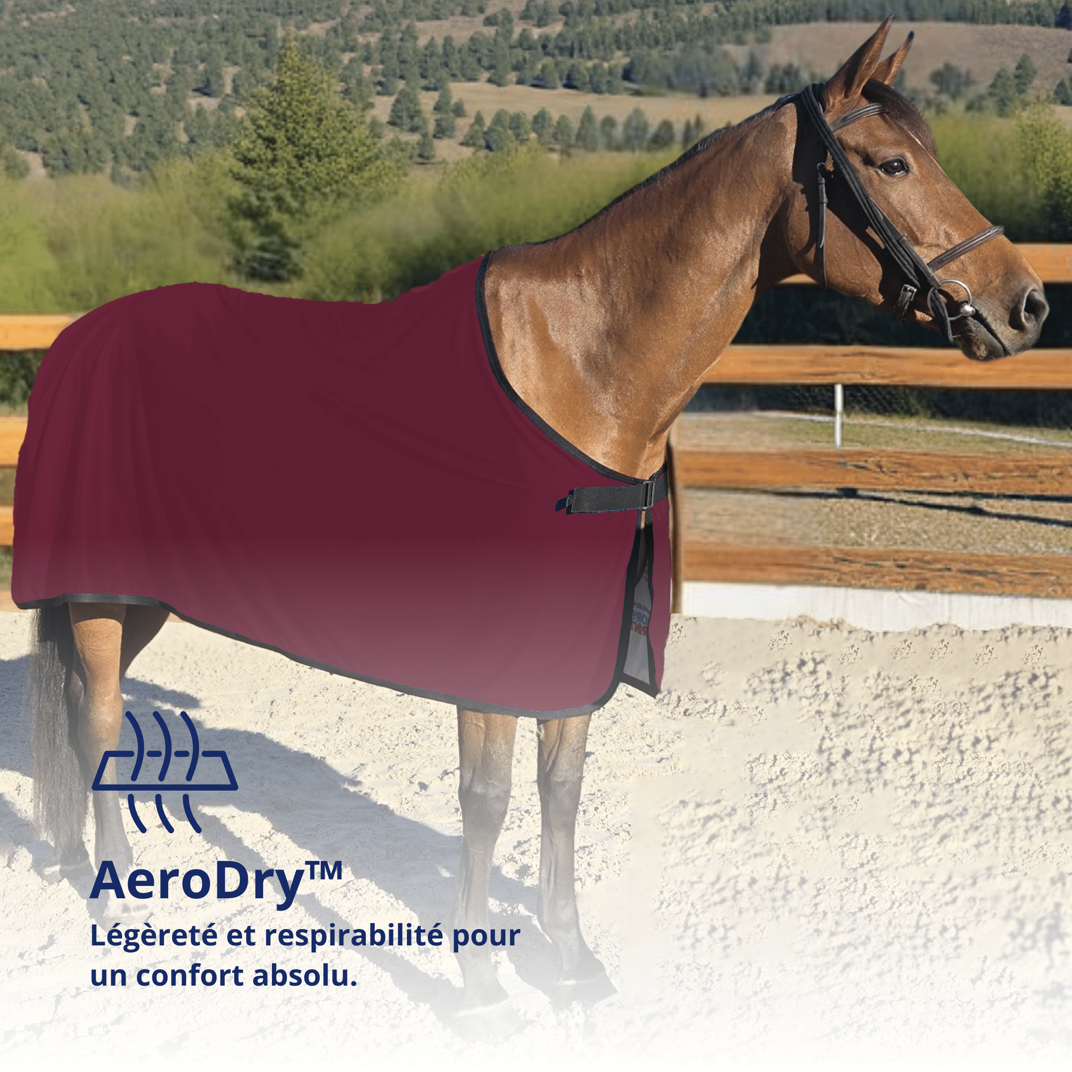 Chemise pour cheval Grand Prix Eco Dry 5