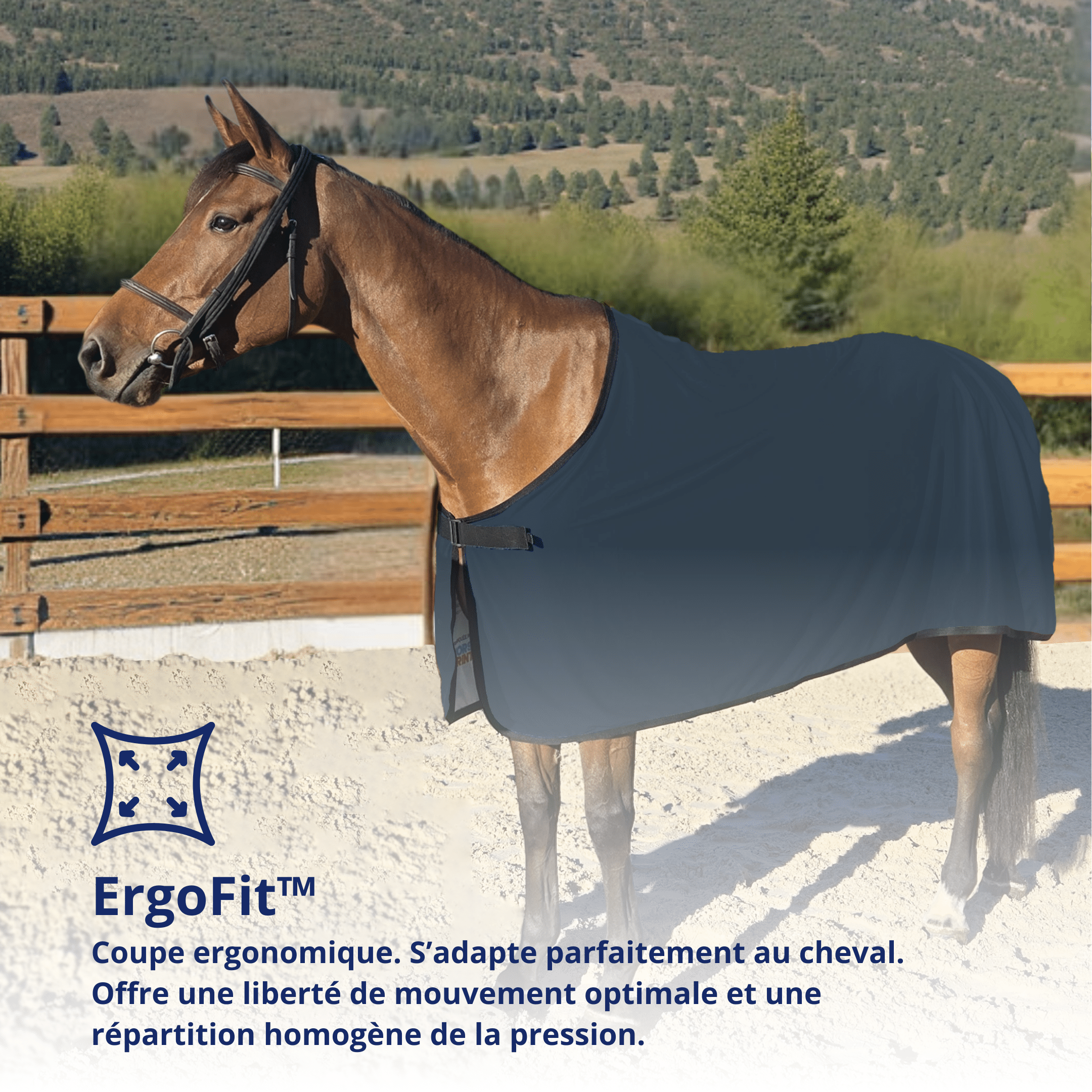Chemise pour cheval Grand Prix Eco Dry 6
