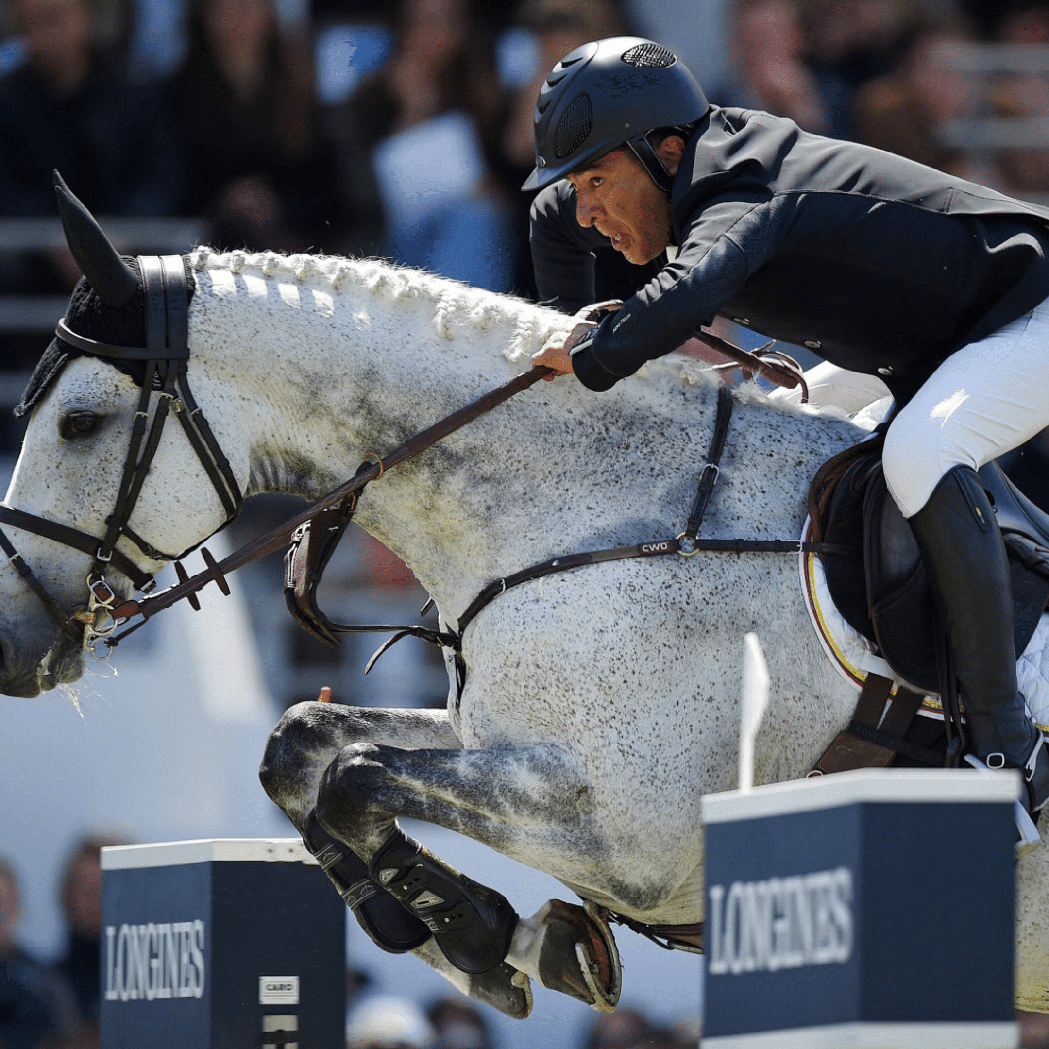 HorsePrint Lopez équitation (1)