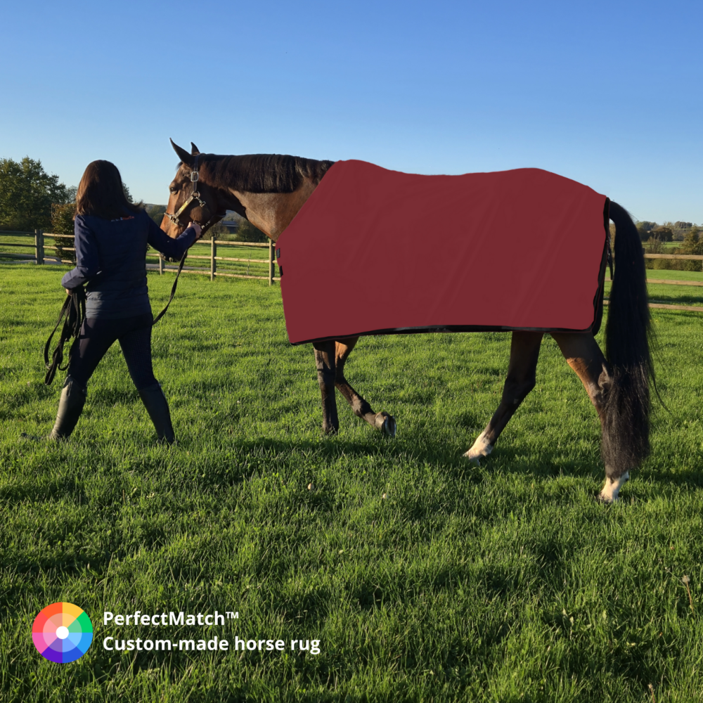 WarmFlex horse rug