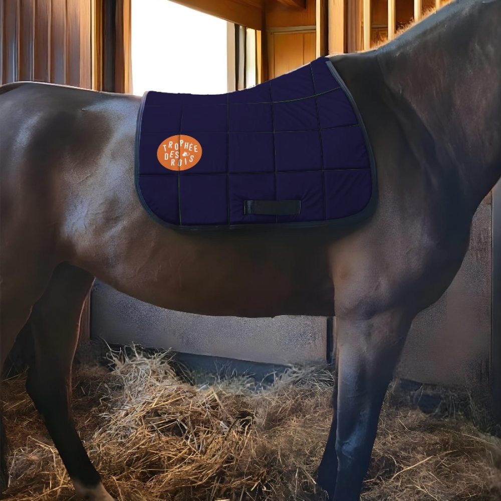 WhatsApp Image 2025-06-16 à 17.36.30_4e888316