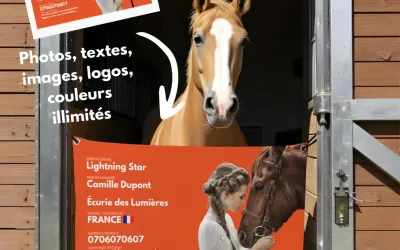 Porte de box Flexibox personnalisée – Design pratique et informatif pour identifier vos chevaux.